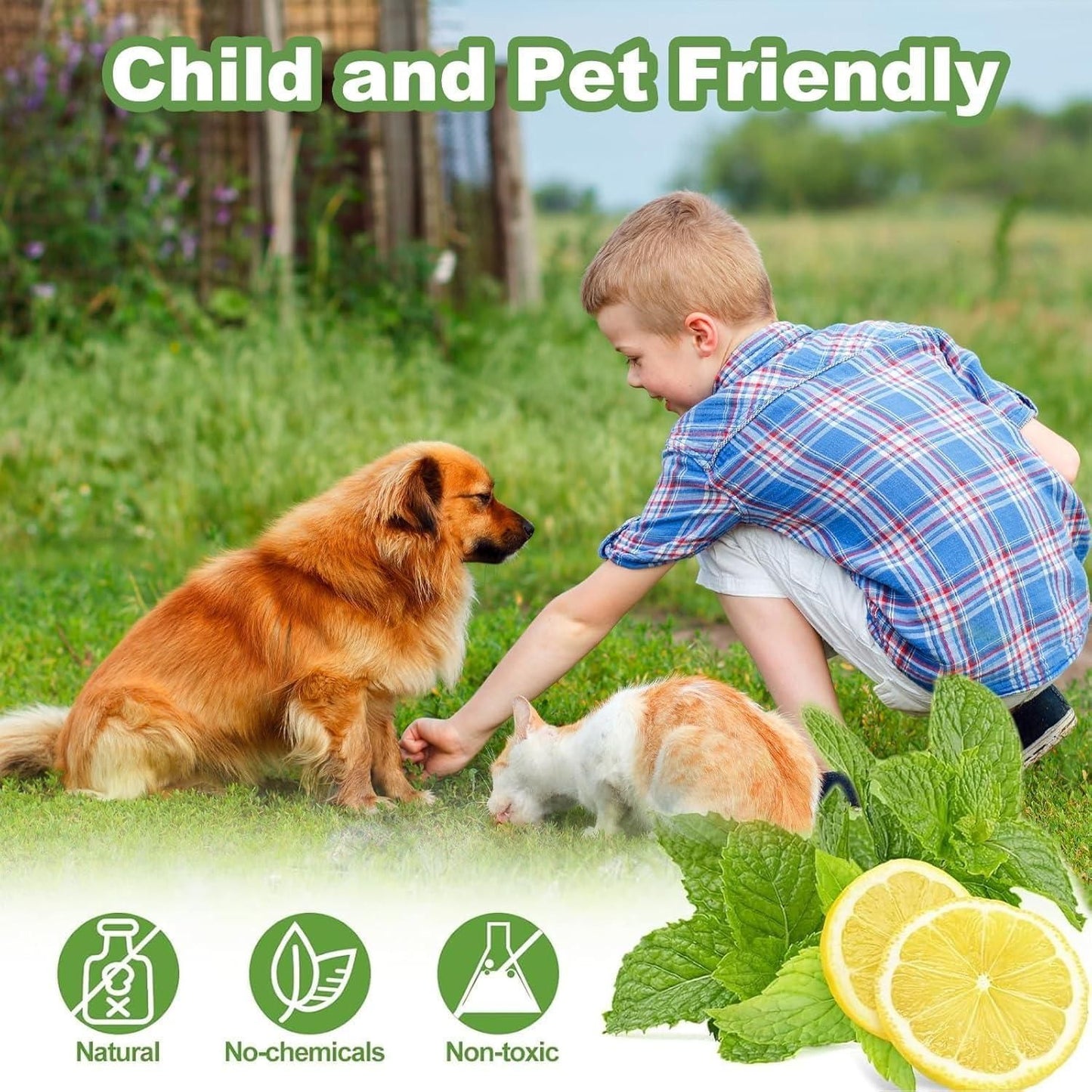 10 Pcs Cat Repellent