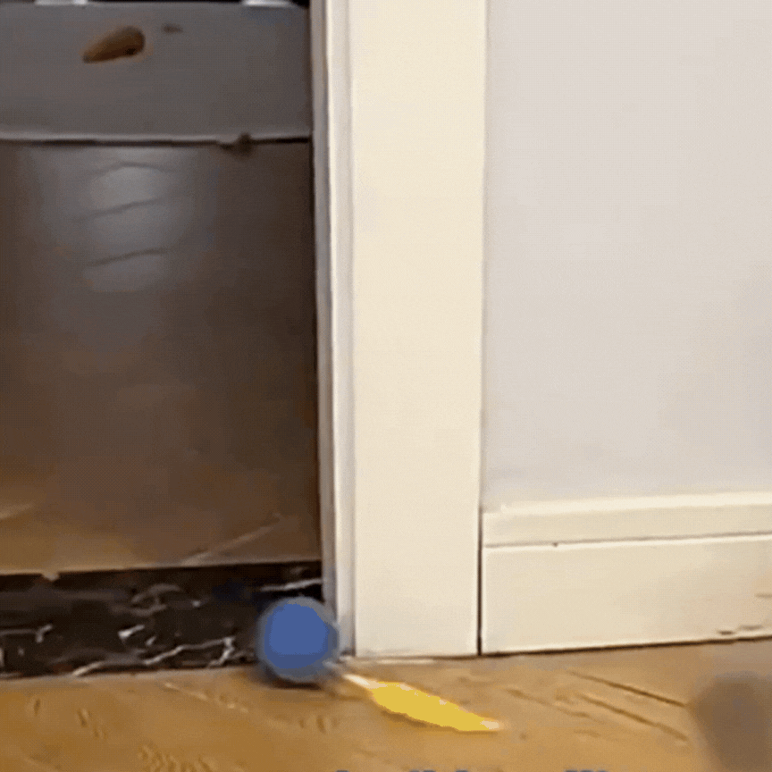 🐾 Furdost™ Smart Rolling Ball Cat and Dog Toy 🐾